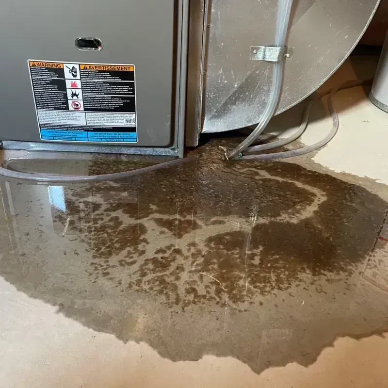 Appliance Leak Cleanup in Sangaree, SC